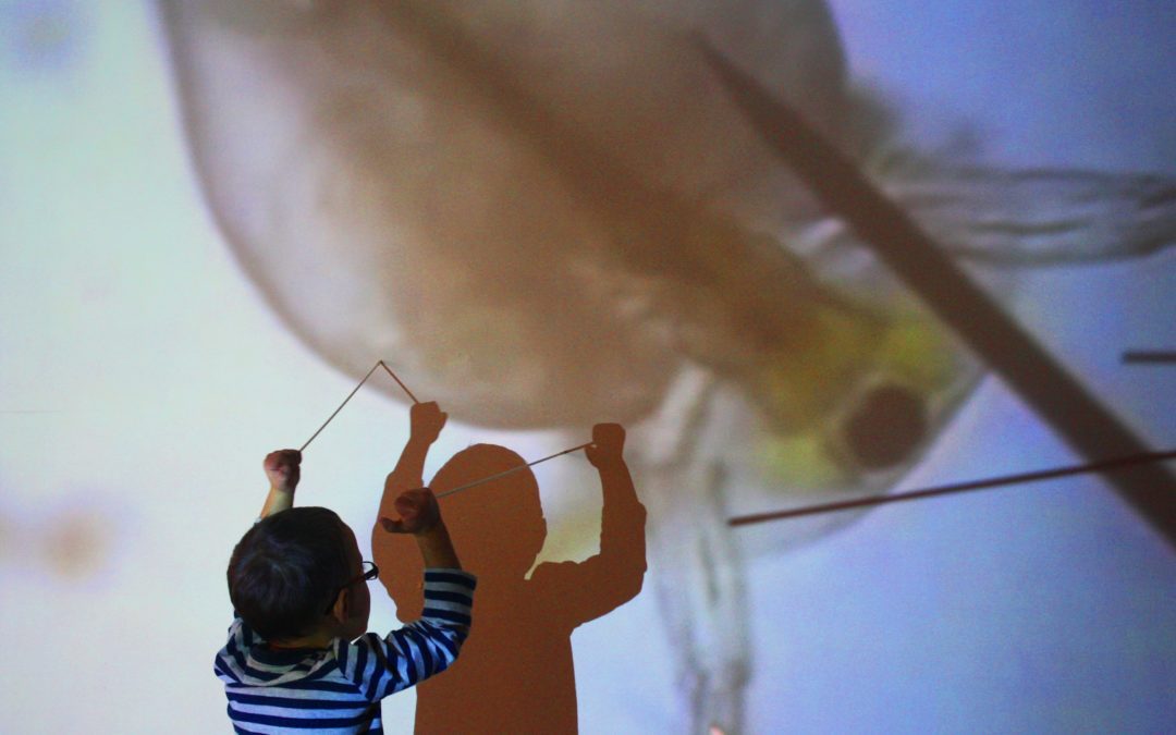 FROM BACTERIA TO GALAXIES – REFLECTIONS NURSERY AND FOREST SCHOOL