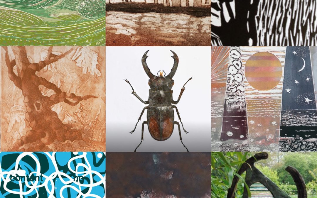 Ink : Sussex Printmakers & Friend