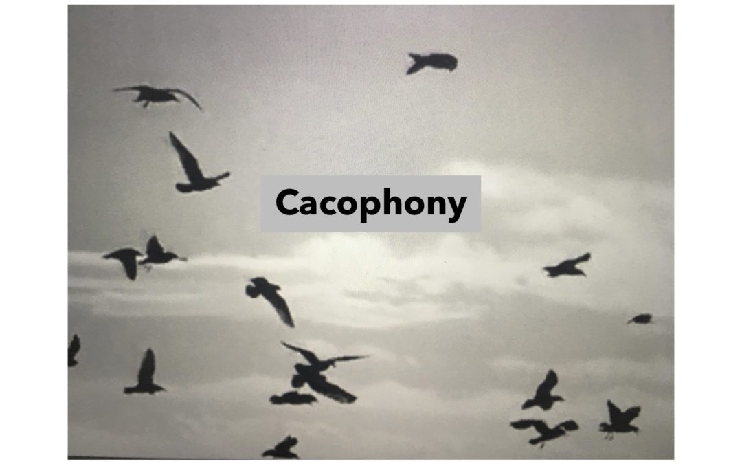 Nicky Bell & Bob Burke – Cacophony – Luminate – Mardi-gras – a natural state