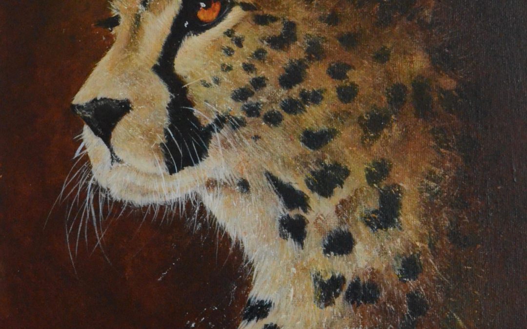 Fur and Feathers: an exhibition of Wildlife Art by Desiree Hart