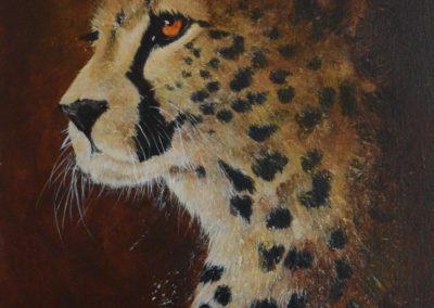 Fur and Feathers: an exhibition of Wildlife Art by Desiree Hart