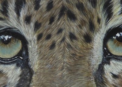 Fur & Feathers: An Exhibition of Wildlife Art by Desiree Hart