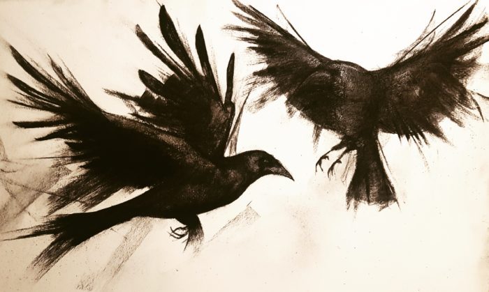 Crows by Shona Macdonald