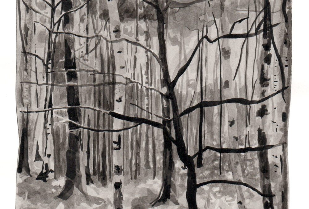 Anna Vartiainen: Monster Trees and Other Stories