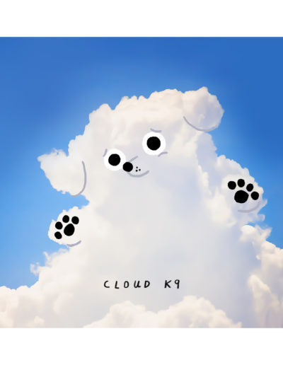 Cloud K9