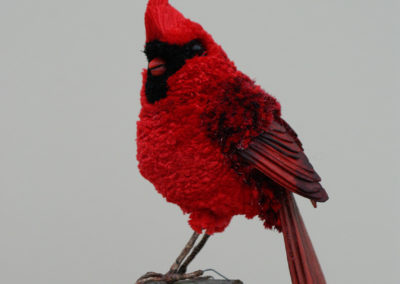 Roy Kelf: Cardinal