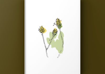 Anna Vartiainen: Wildflower Buds