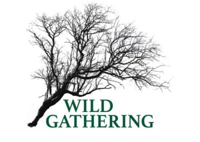 Wild Gathering: Land and Light