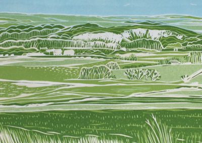 Rosemary Jones: Worthing and the Downs in Linocut