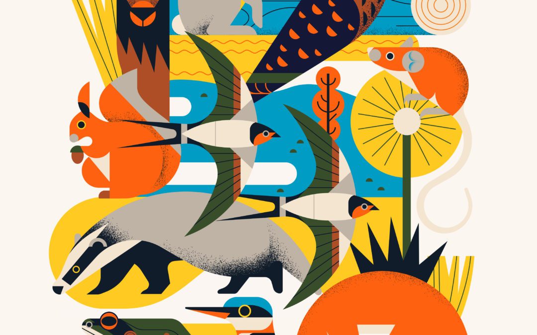 Owen Davey: Portfolio Chats for Local Illustrators