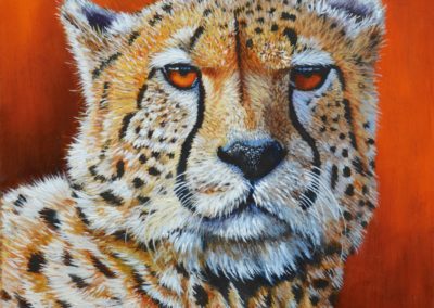 Pat Duff: Cheetah