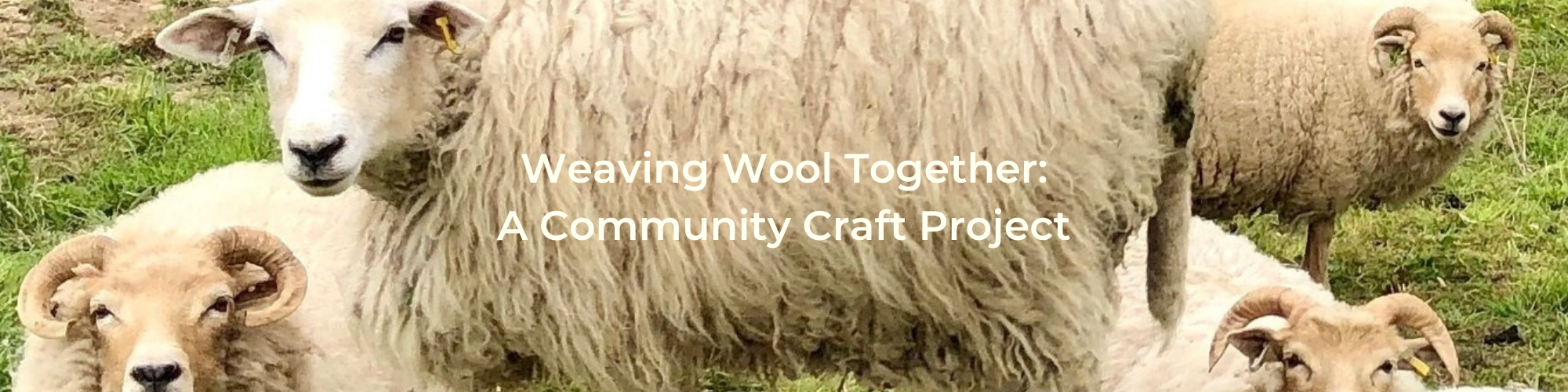 Weaving Wool Together: A Community Craft Project