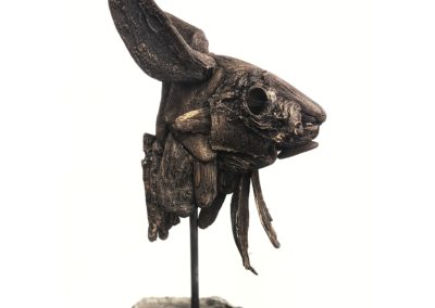 Shona Macdonald: Driftwood Hare Head