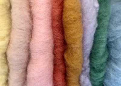 Sheared multicoloured sheeps wool