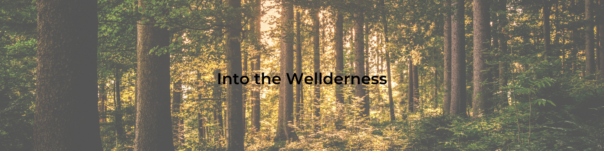 Into the Wellderness