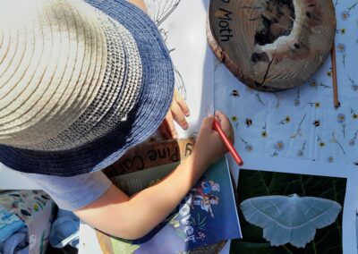 A photograph of the workshops at Highdown Gardens Discover Days