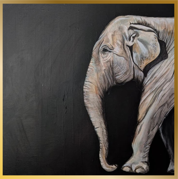 Elephant_Ariana