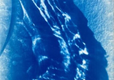 Sea Themed Cyanotypes with Nina Garstang