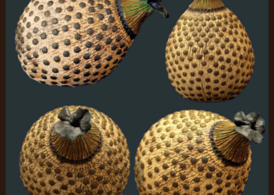 Brian Tew: Mixed Media