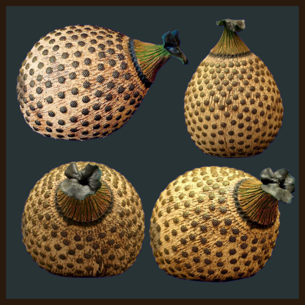 Diane Bailey: Pastures New