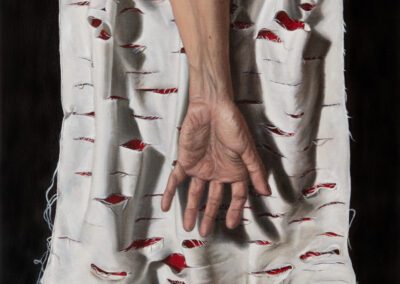 Matthew King: The Drapery Falls