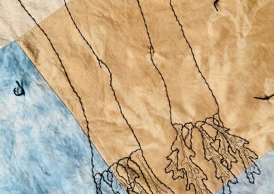 Sussex Bay Creates: Living Sea