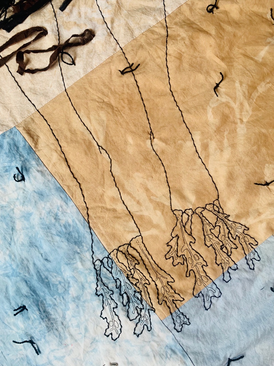 Daniela Maria Gargiulo: Widewater Forever