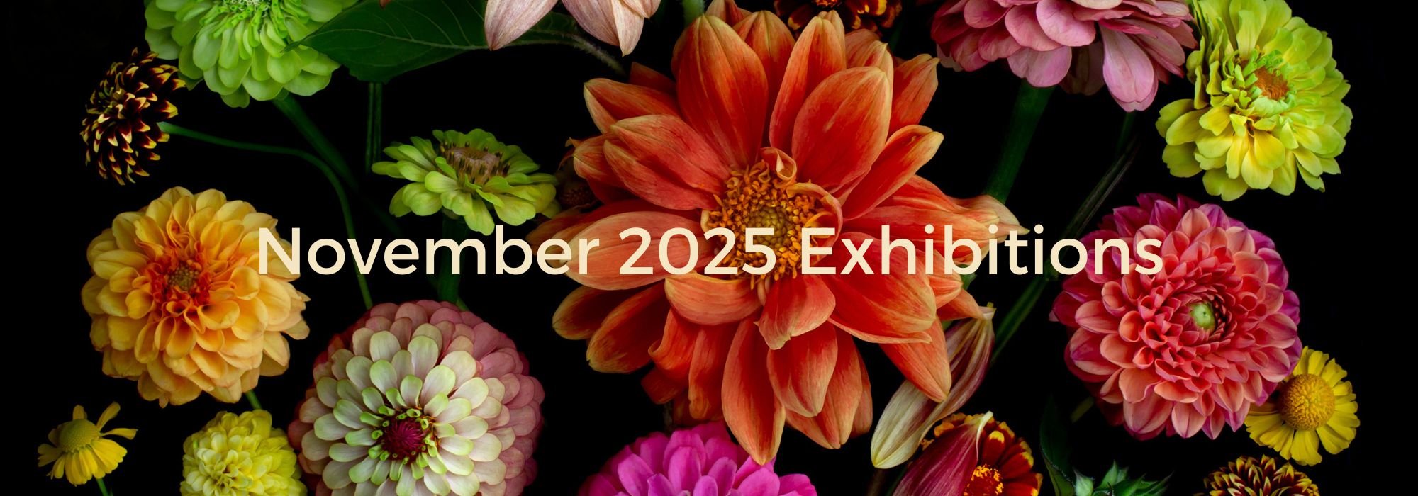 Worthing Artists Open Houses comes to Colonnade House