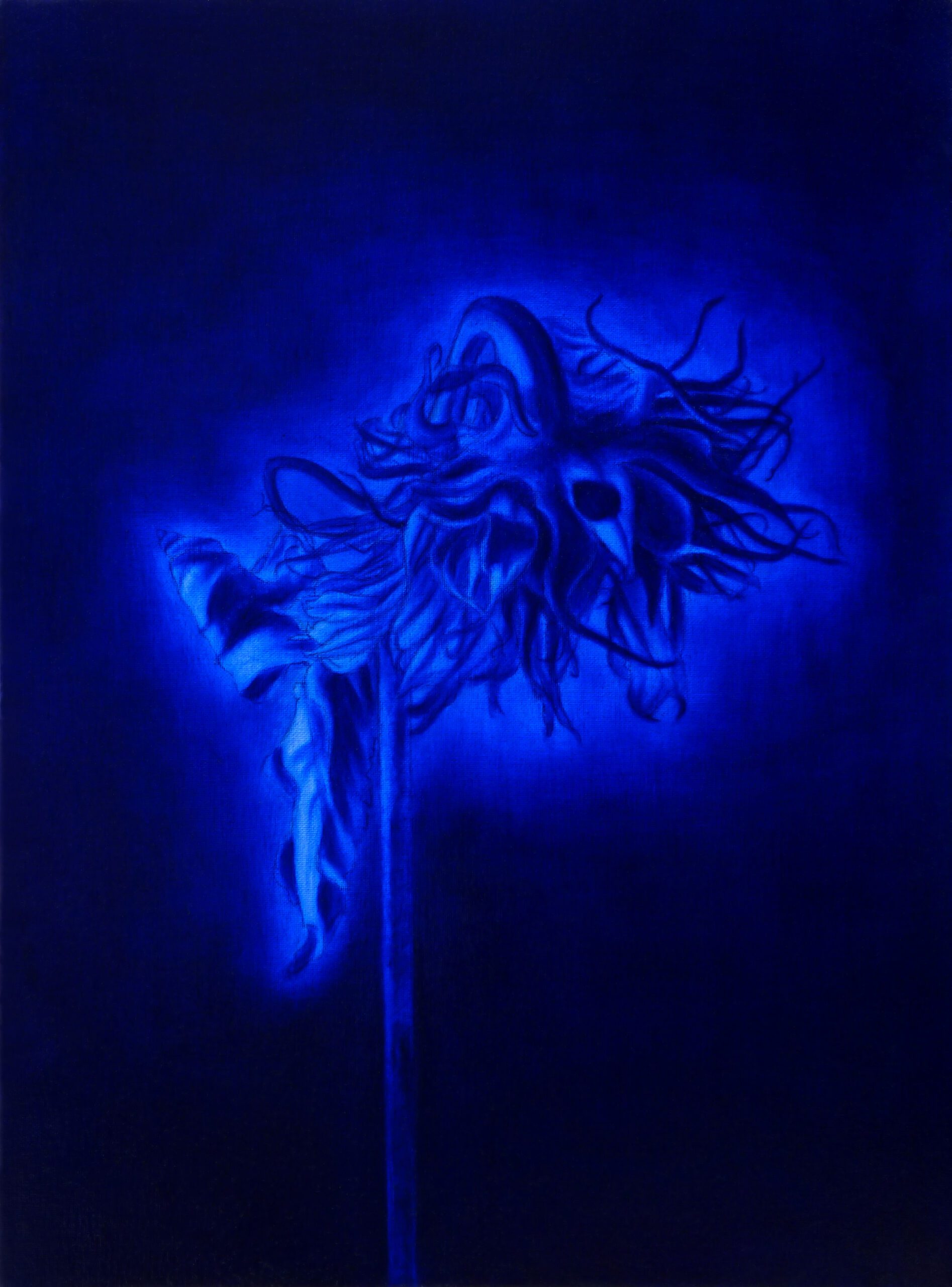 DeadSunflower(blue)