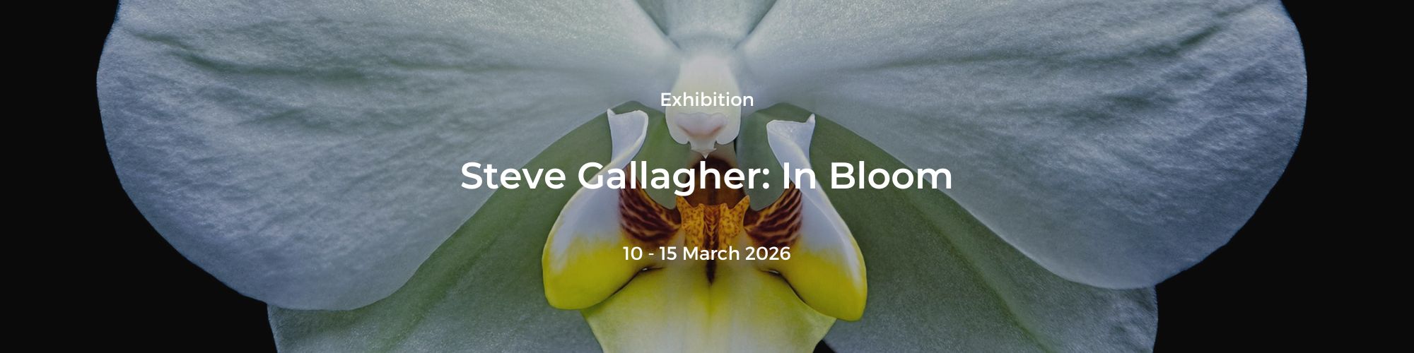 Michael Harbour: High Tides