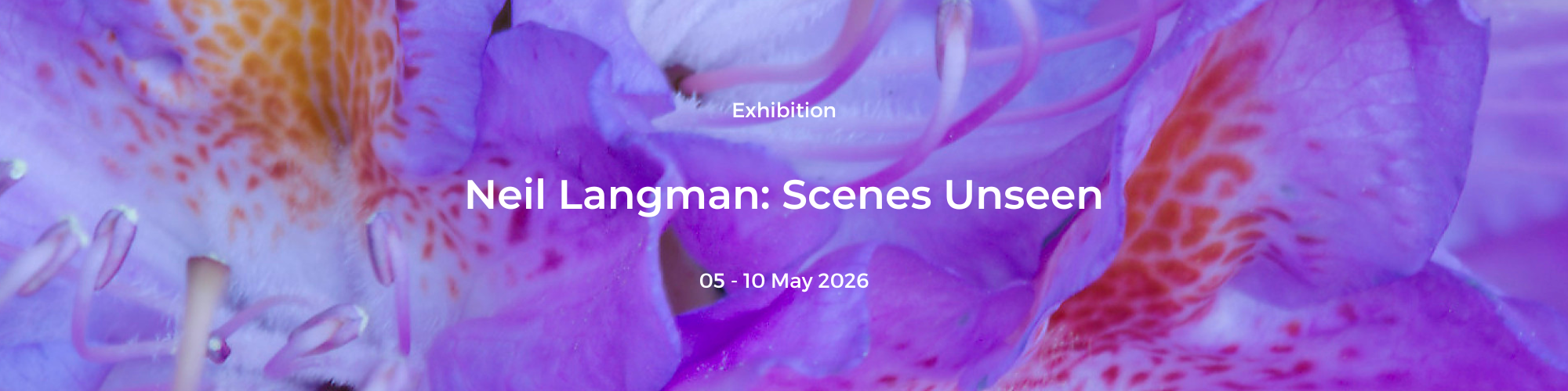 Michael Harbour: High Tides