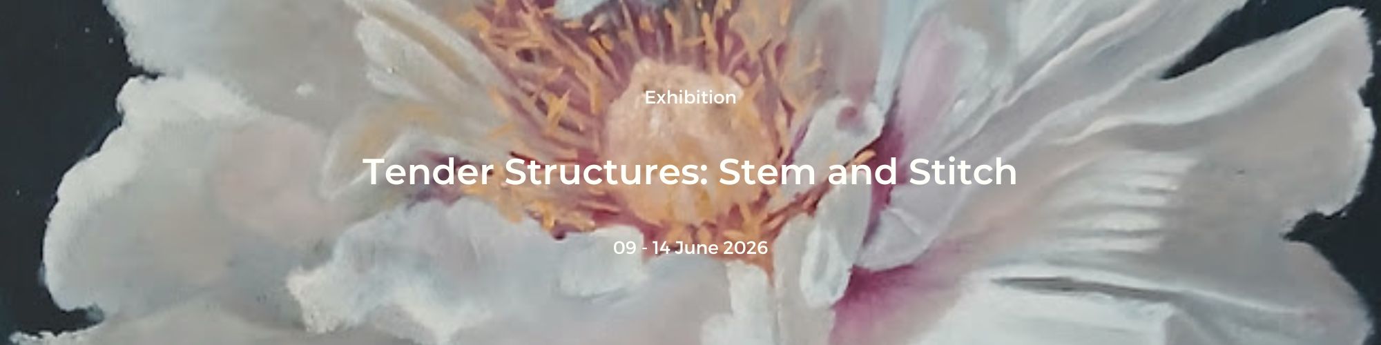 Michael Harbour: High Tides