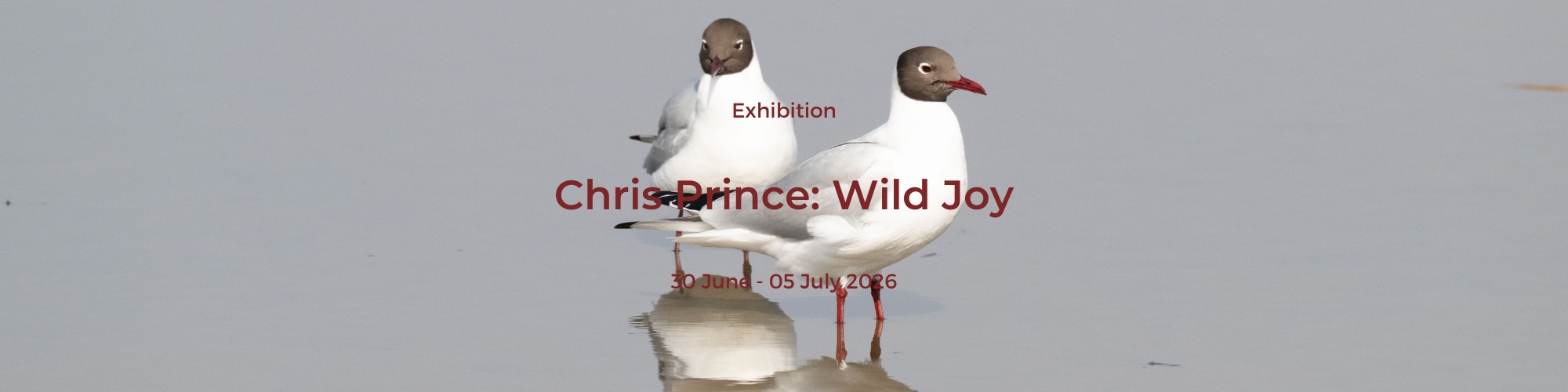 Rosemary Jones: Fabric Printing with linoblocks