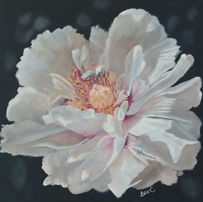 Tender Structures: Stem and Stitch