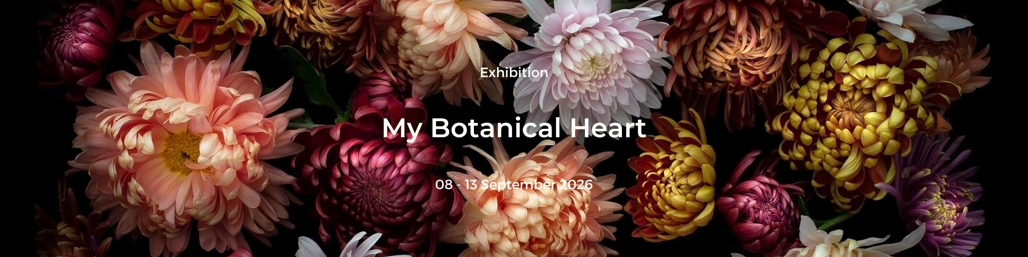 Liz English Exhibition 2022