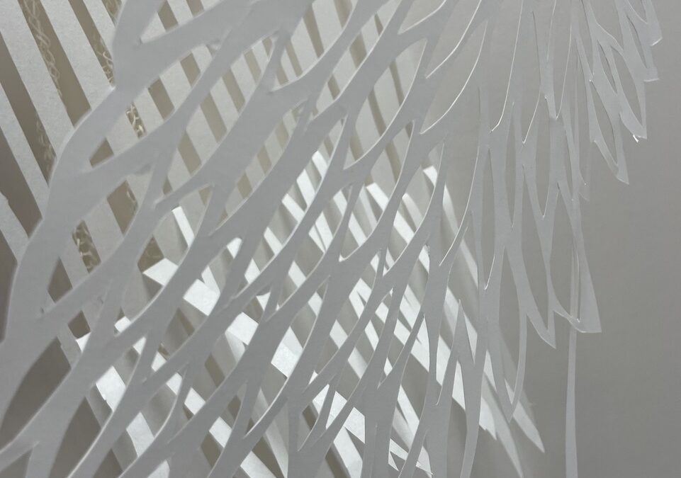 Sarah Sepe: Garden Perspectives
