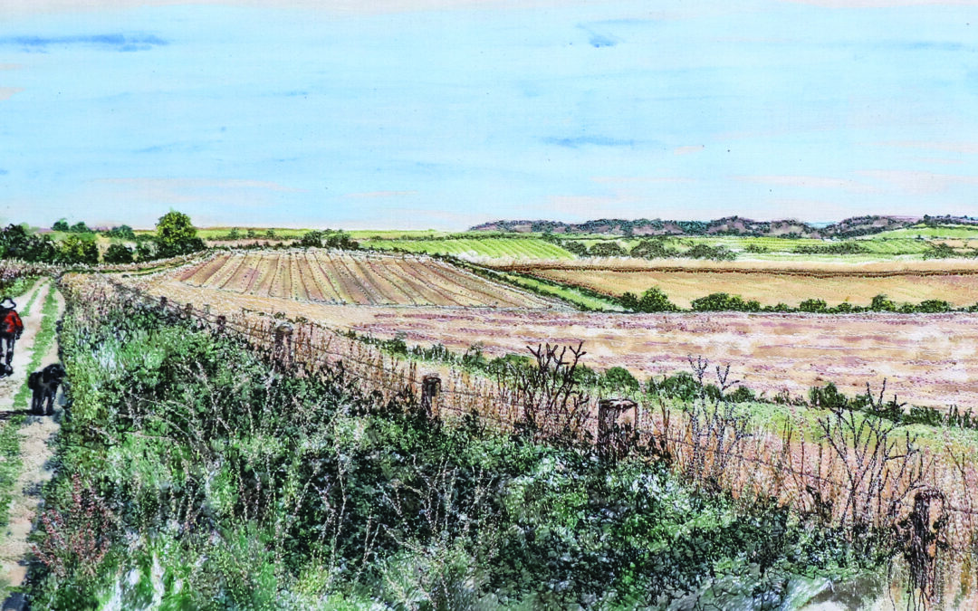Southdowns Creative Stitchers: 50 Years of Stitch