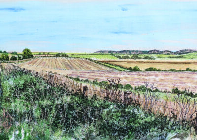 Southdowns Creative Stitchers: 50 Years of Stitch